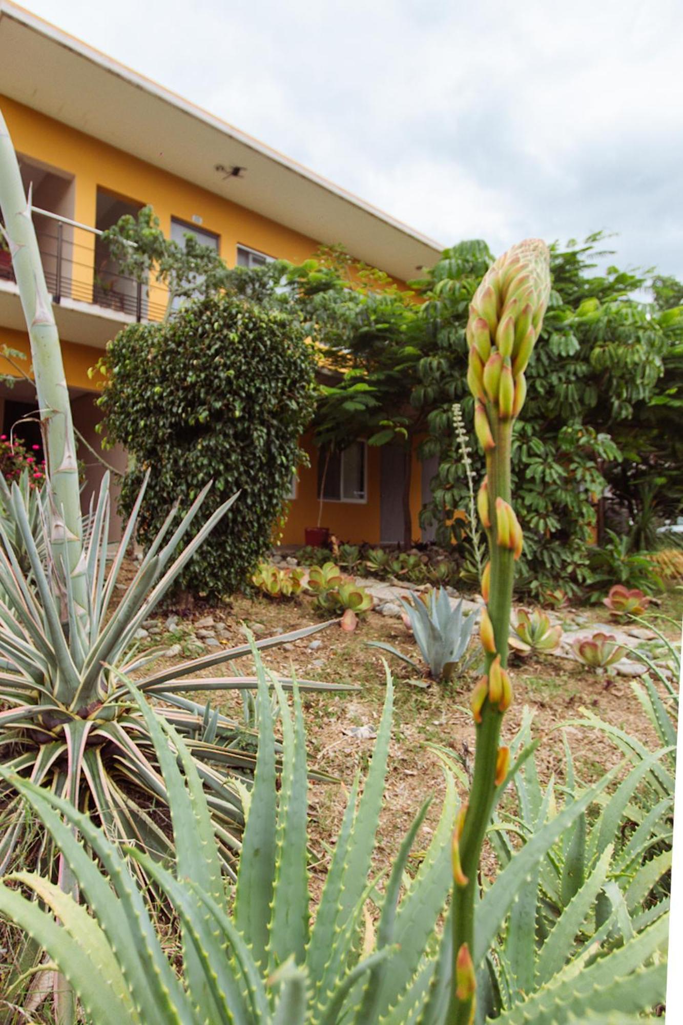 Hotel Guiva San Pablo Hacienda Blanca Dış mekan fotoğraf